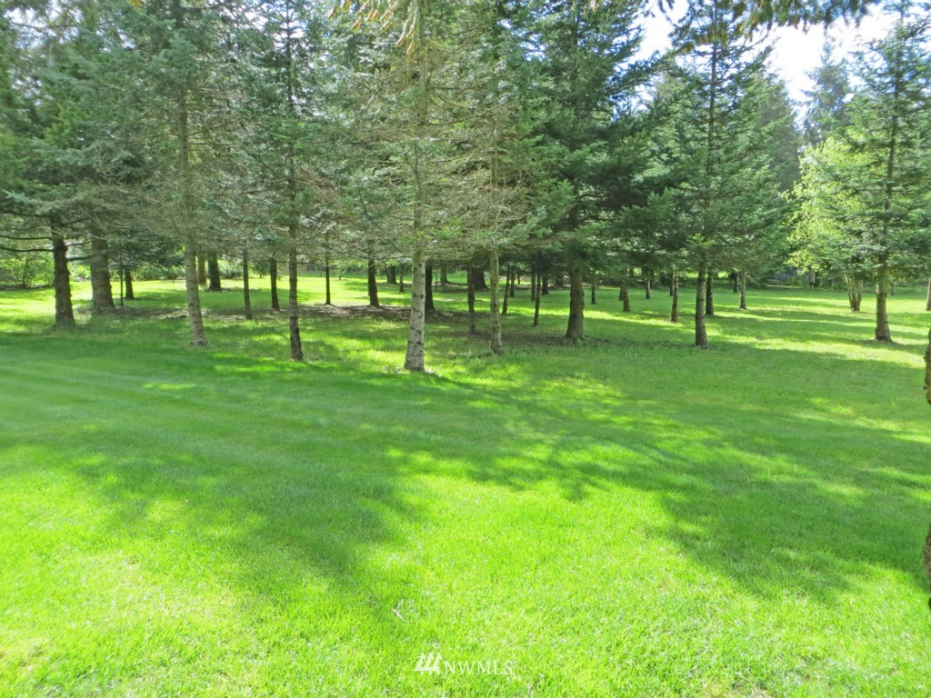 8325 176th Avenue Southwest Rochester, WA 98579 - Photo 5 of 21