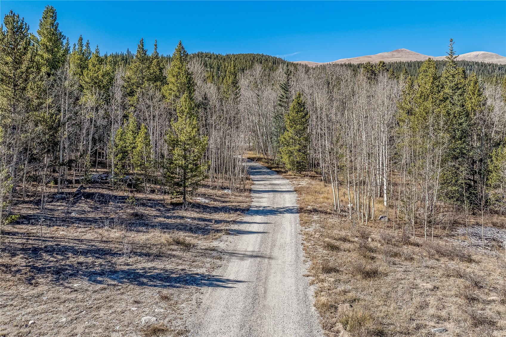 495 Edgewood Road Alma, CO 80420 - Photo 39 of 43