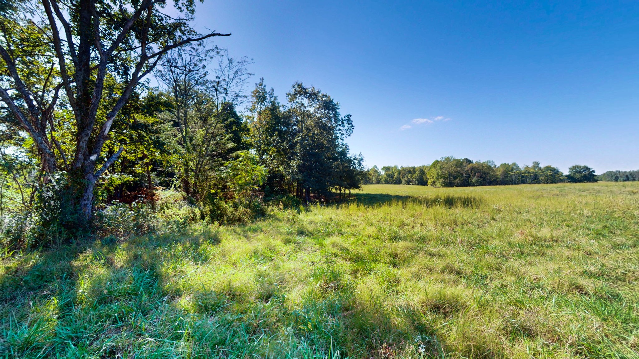 0 Old Murray Paris Road Puryear, TN 38251 - Photo 6 of 18 a view of lake with green space