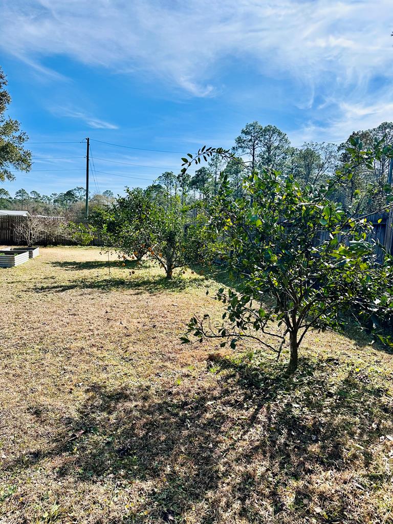 1651 Linden Road Apalachicola, FL 32320 - Photo 57 of 69