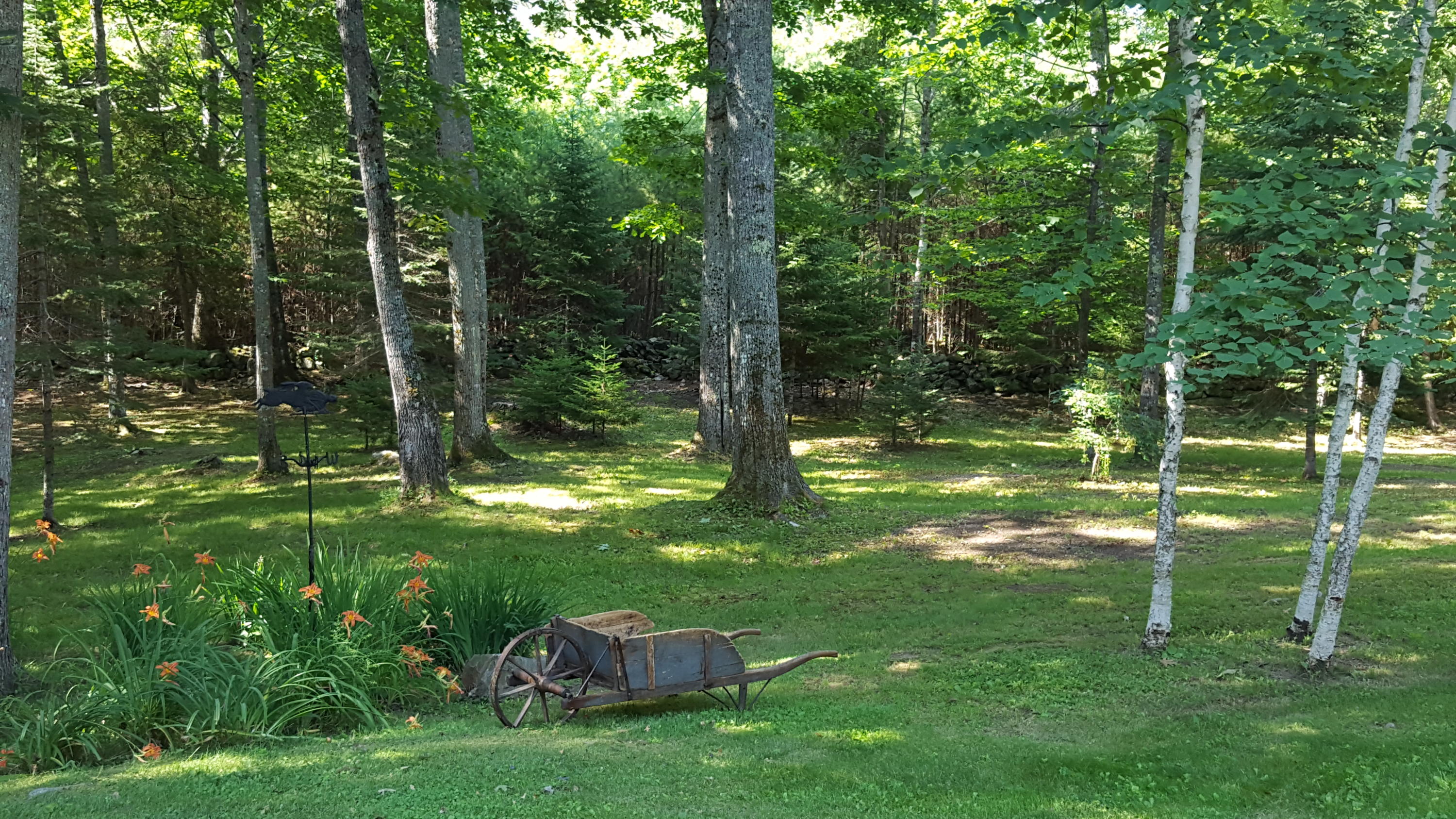 51 Red Paint Road Manchester, ME 04351 - Photo 47 of 63 20170716_095304