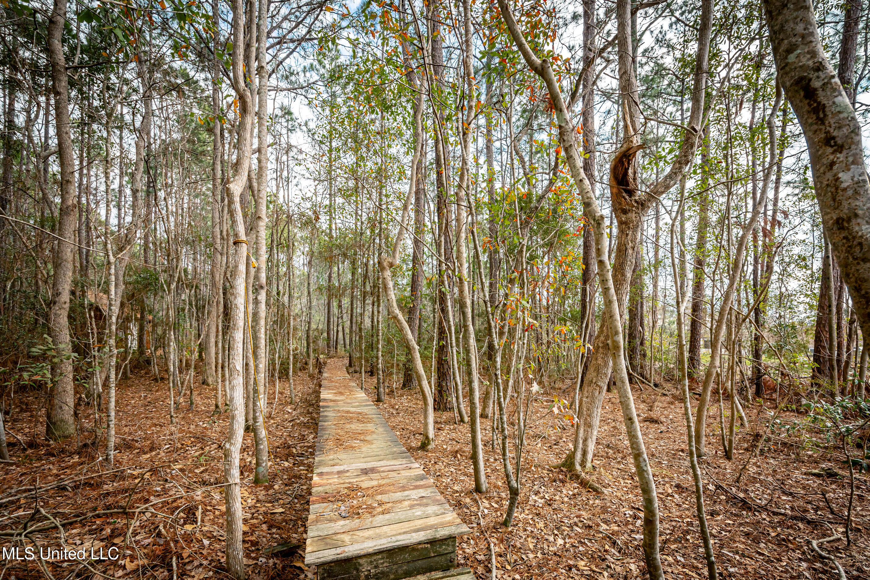 13162 Hudson Krohn Road Biloxi, MS 39532 - Photo 44 of 65 IMG_4475