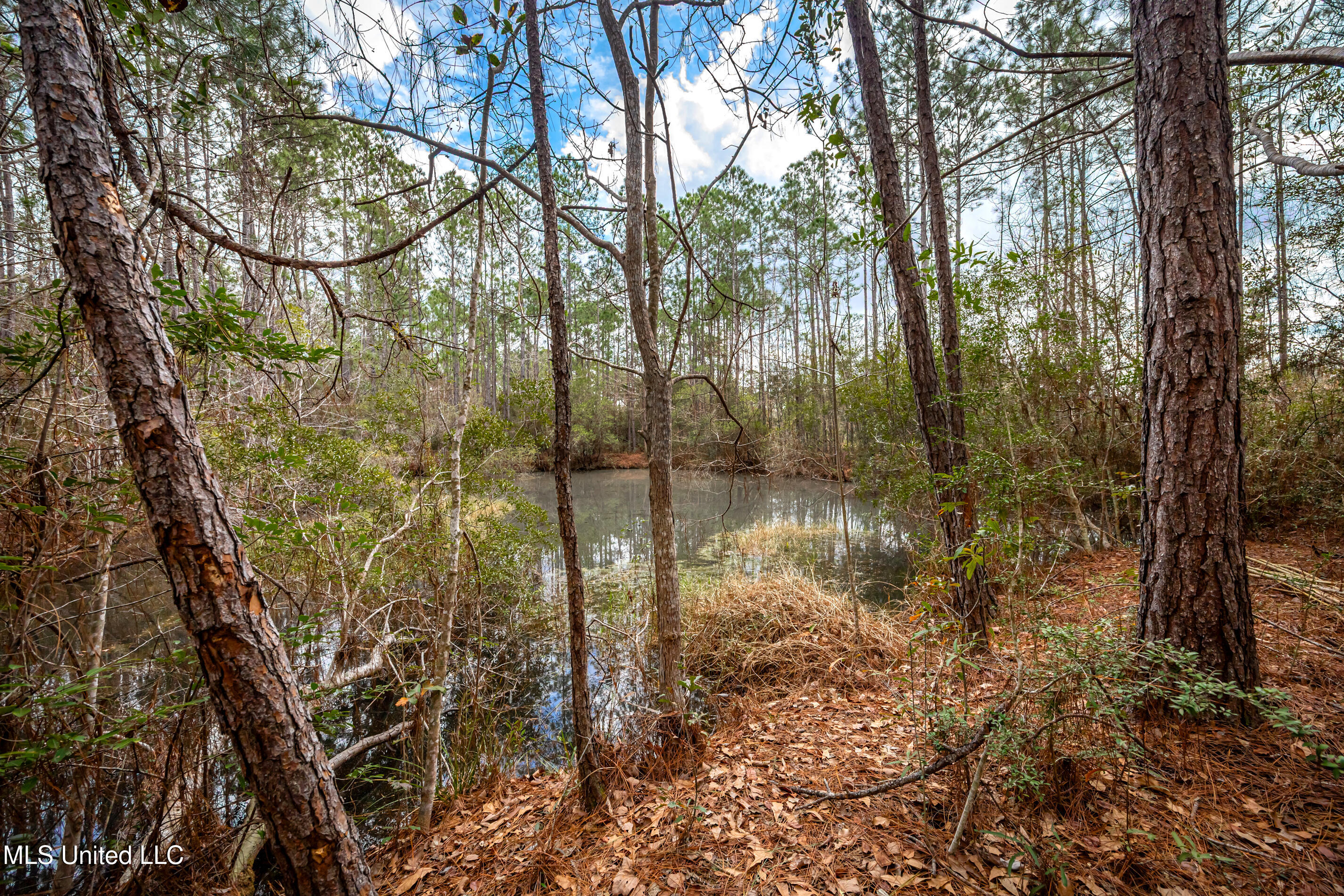 13162 Hudson Krohn Road Biloxi, MS 39532 - Photo 45 of 65 IMG_4439