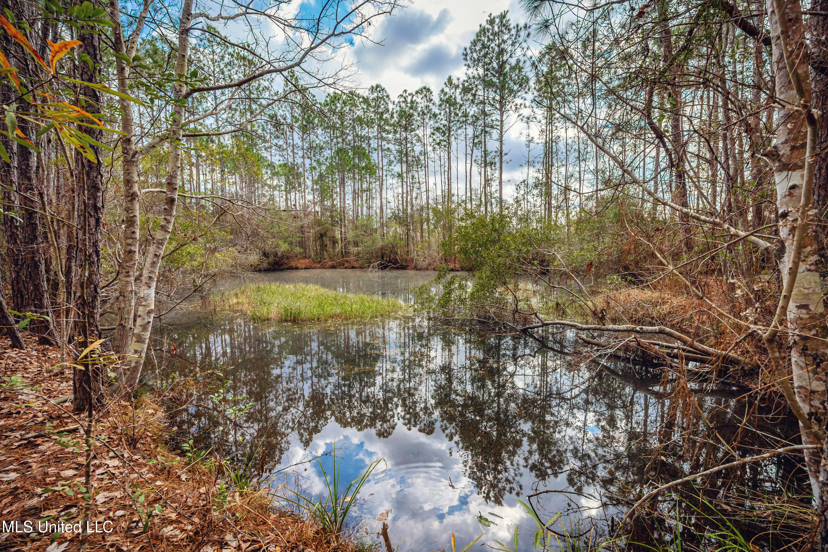 13162 Hudson Krohn Road Biloxi, MS 39532 - Photo 46 of 65 IMG_4442
