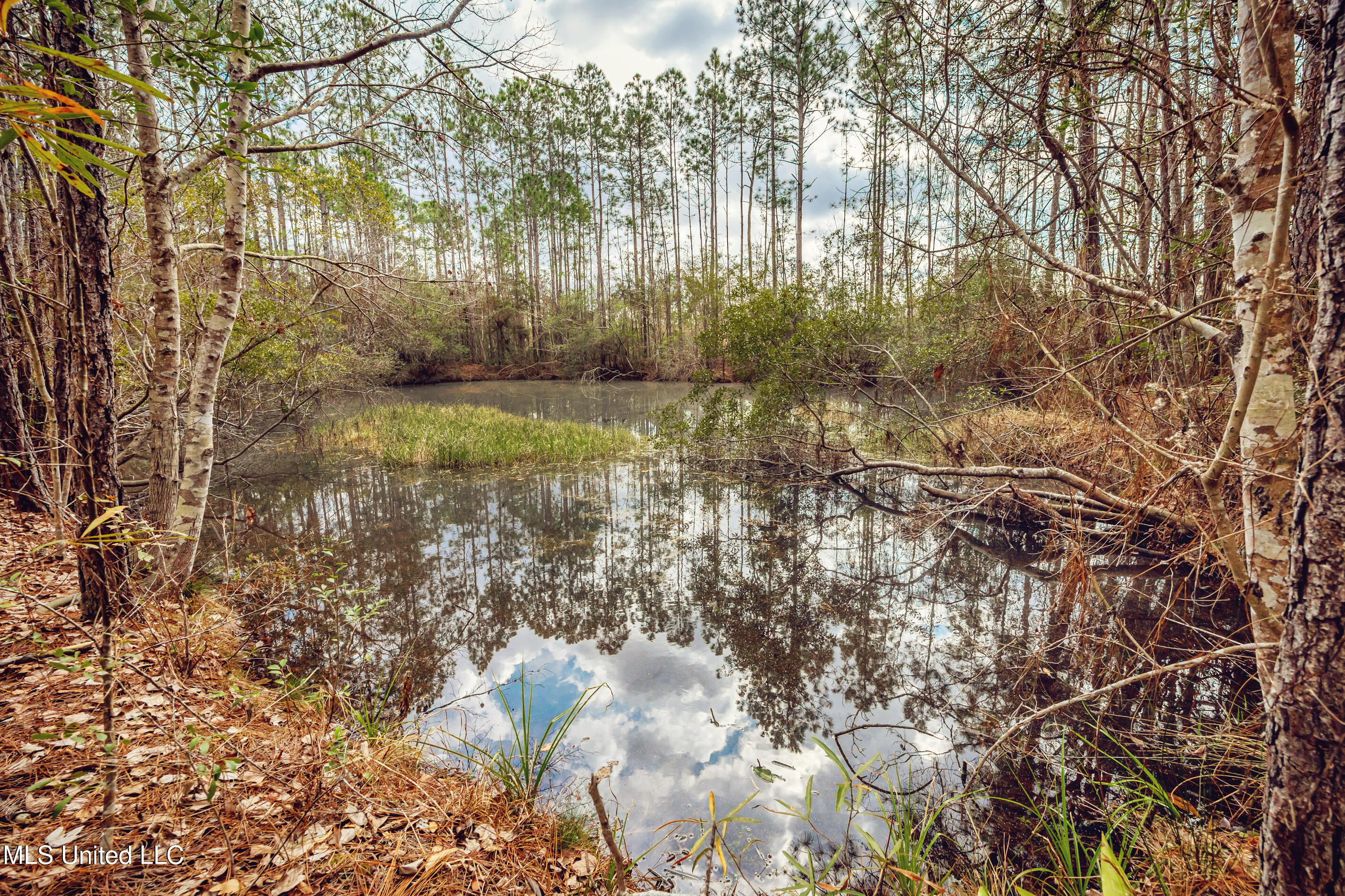 13162 Hudson Krohn Road Biloxi, MS 39532 - Photo 47 of 65 IMG_4445