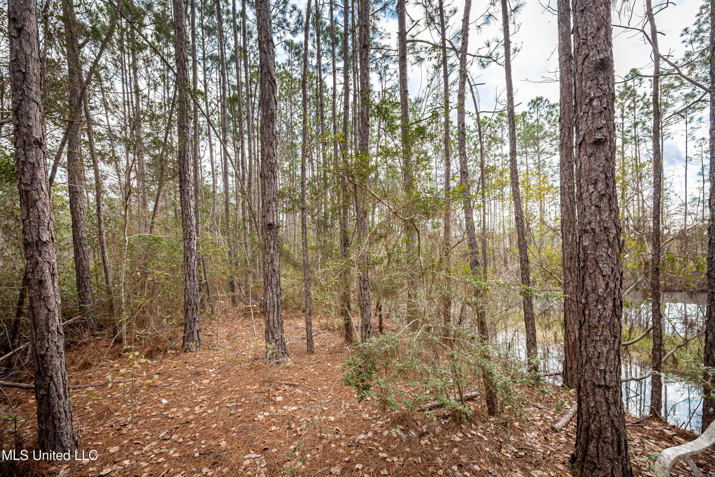 13162 Hudson Krohn Road Biloxi, MS 39532 - Photo 51 of 65 IMG_4451