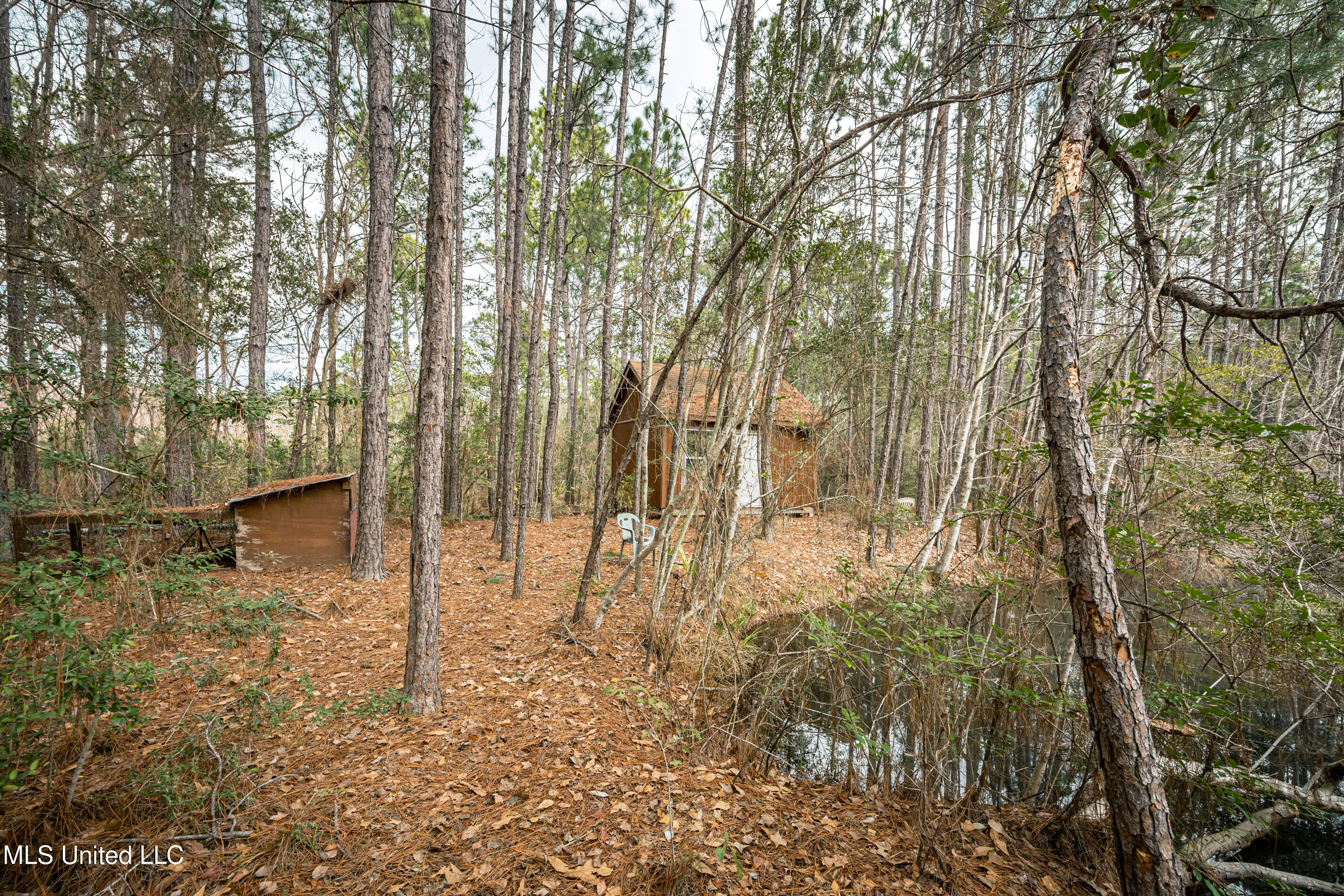 13162 Hudson Krohn Road Biloxi, MS 39532 - Photo 56 of 65 IMG_4466