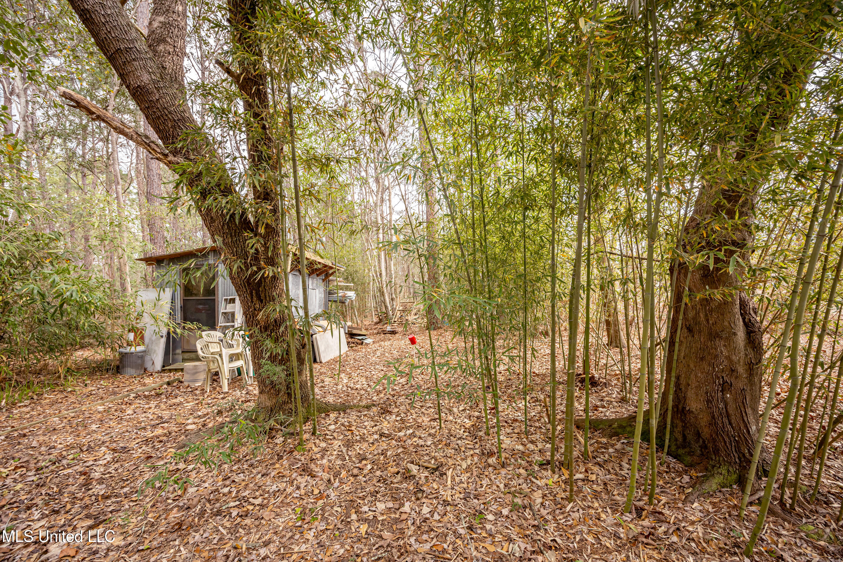 13162 Hudson Krohn Road Biloxi, MS 39532 - Photo 61 of 65 IMG_4490