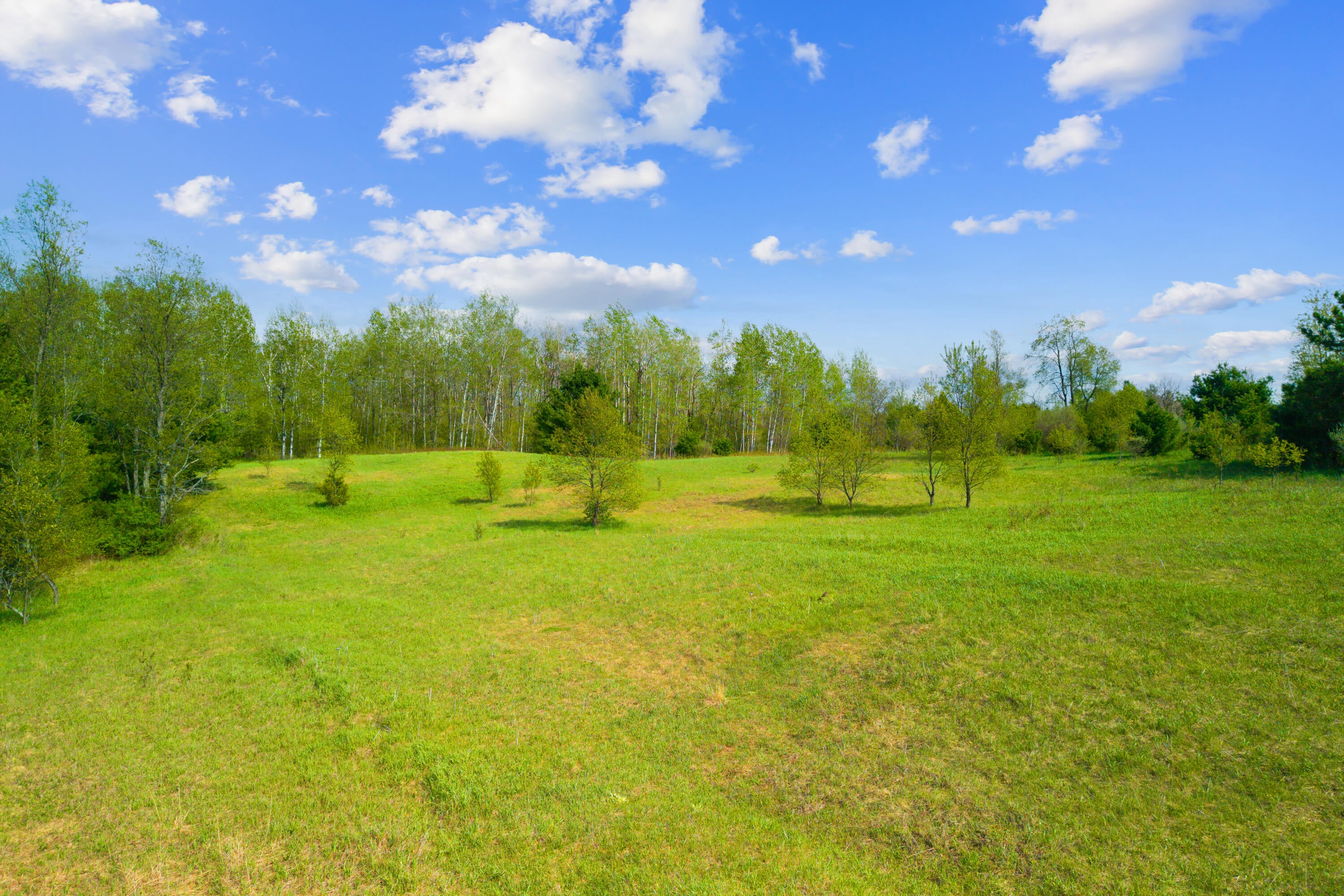 2675 Mishler Road Mio, MI 48647 - Photo 51 of 55 51