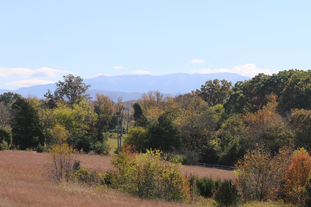804 Harrisburg Road Sevierville, TN 37876 - Photo 27 of 30 Gallery Image 27