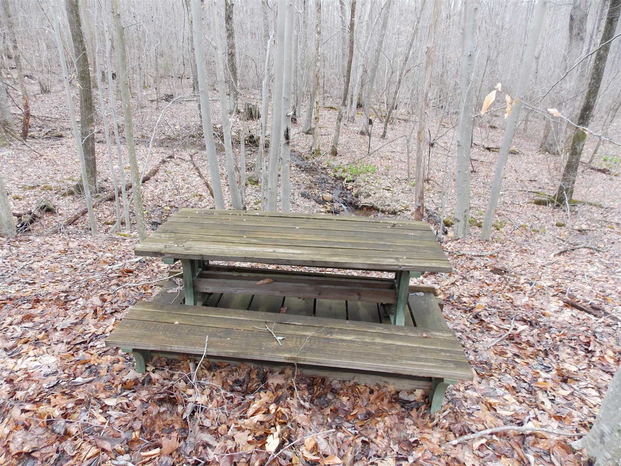 Tbd Broad Hollow Road Southeast Floyd, VA 24091 - Photo 10 of 45 Gallery Image 10