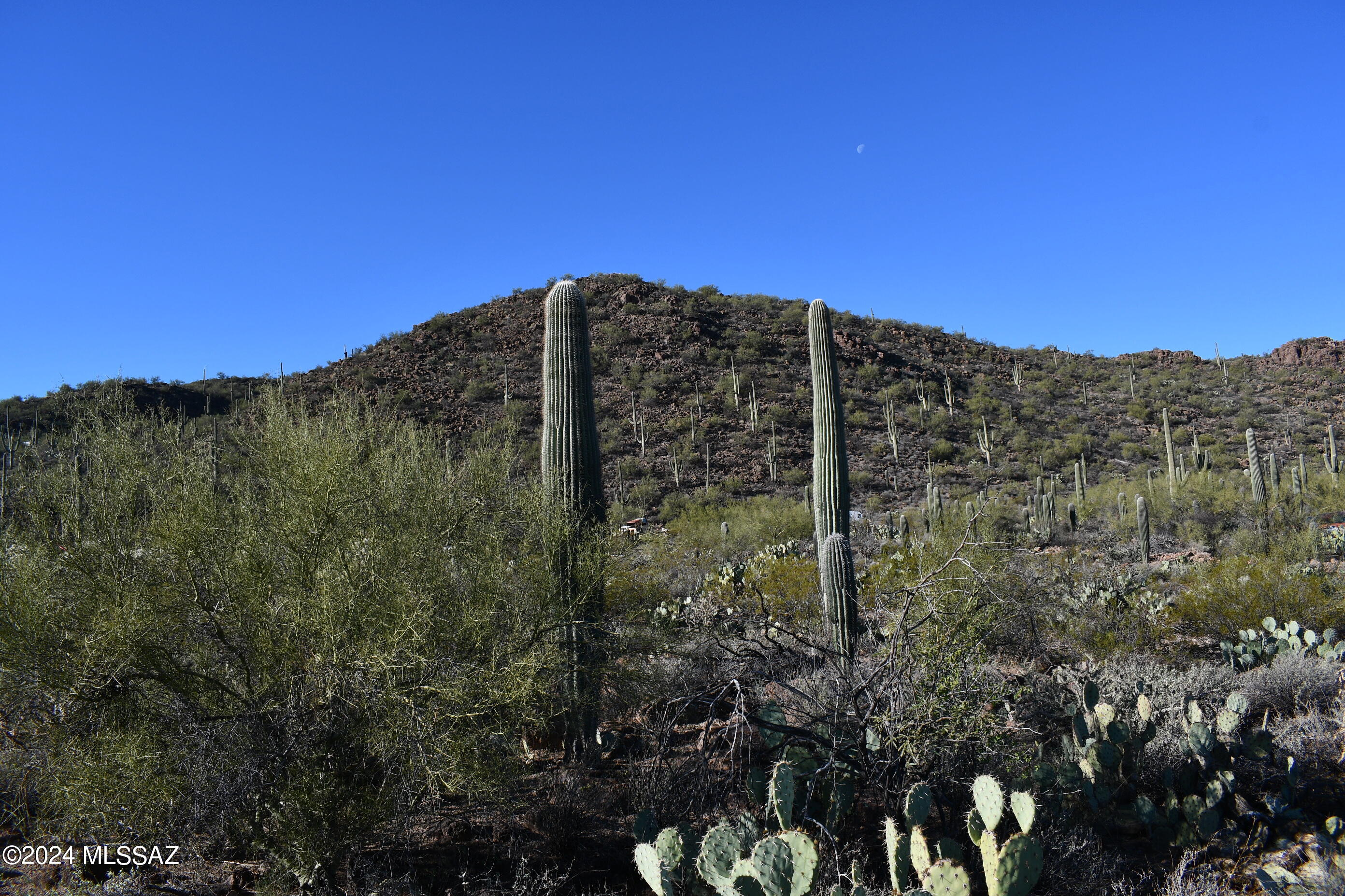 6396 North Yuma Mine Road Tucson, AZ 85743 - Photo 11 of 49 Gallery Image 11