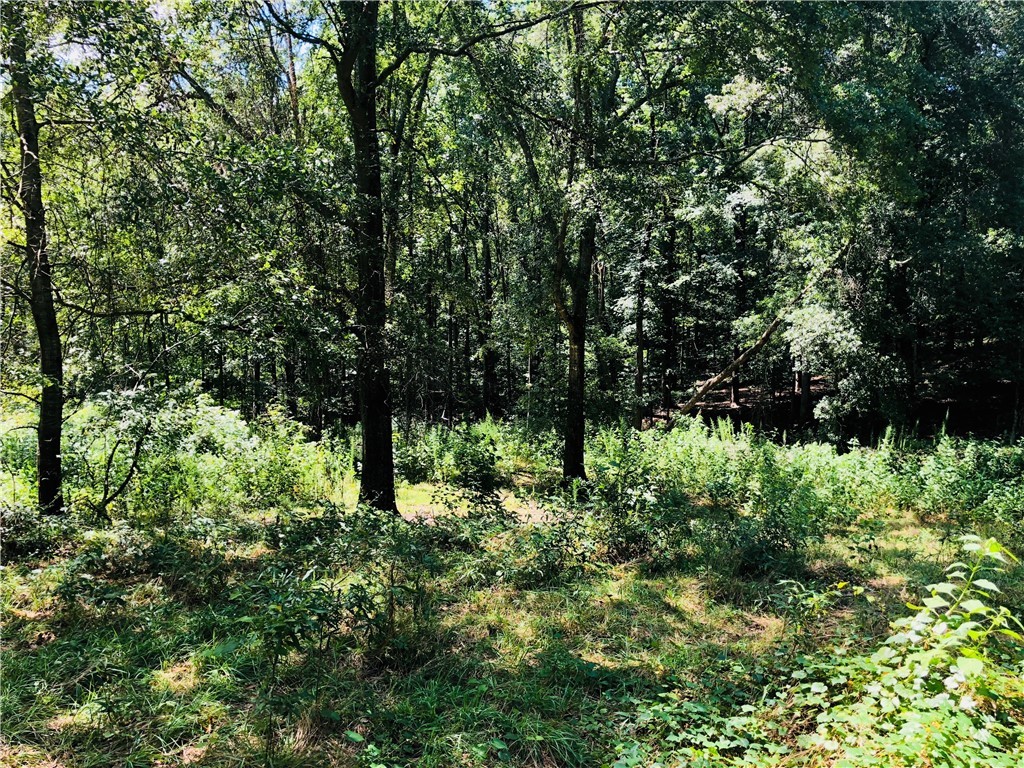 14012 Richardson Drive Seneca, SC 29678 - Photo 19 of 21 Gallery Image 19
