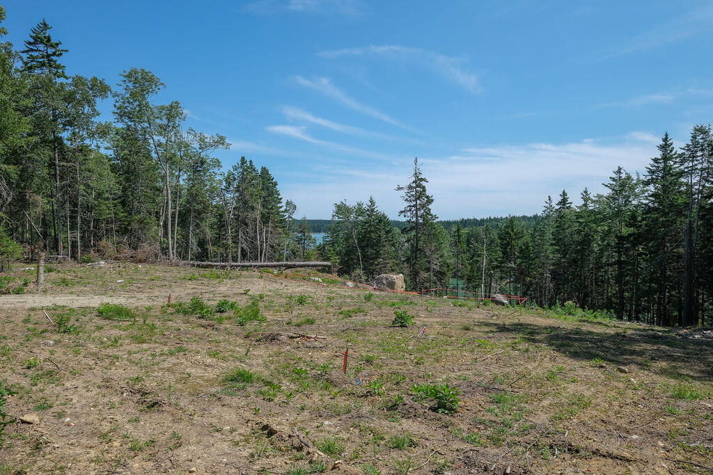 4-22-1-4 Warren Point Road Deer Isle, ME 04627 - Photo 11 of 32 22WarrenPtRd-10