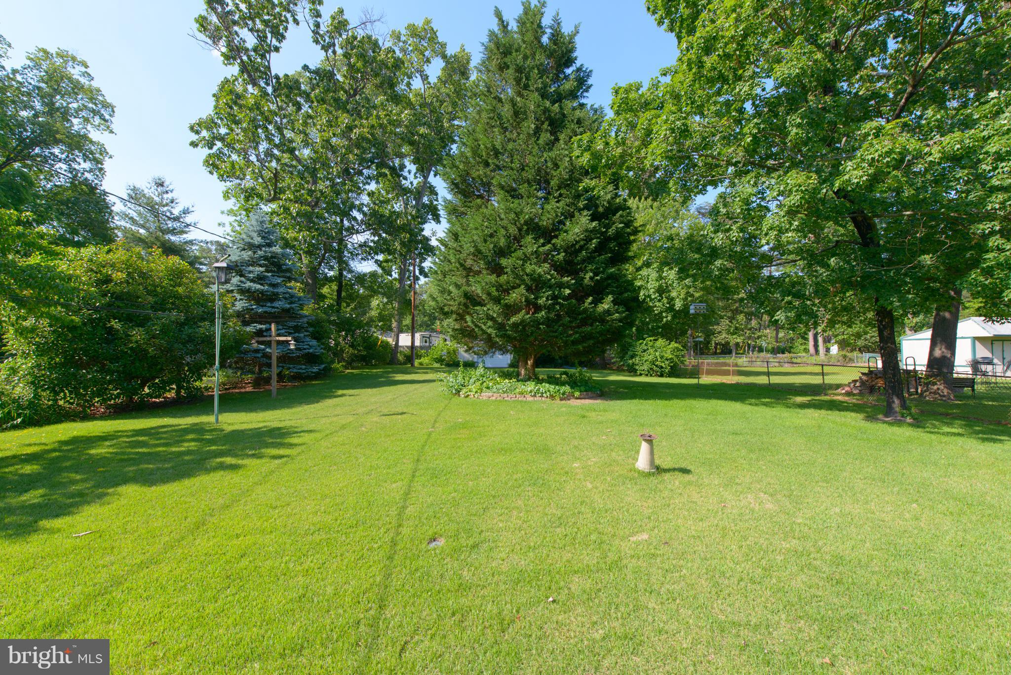 Nice, flat backyard
