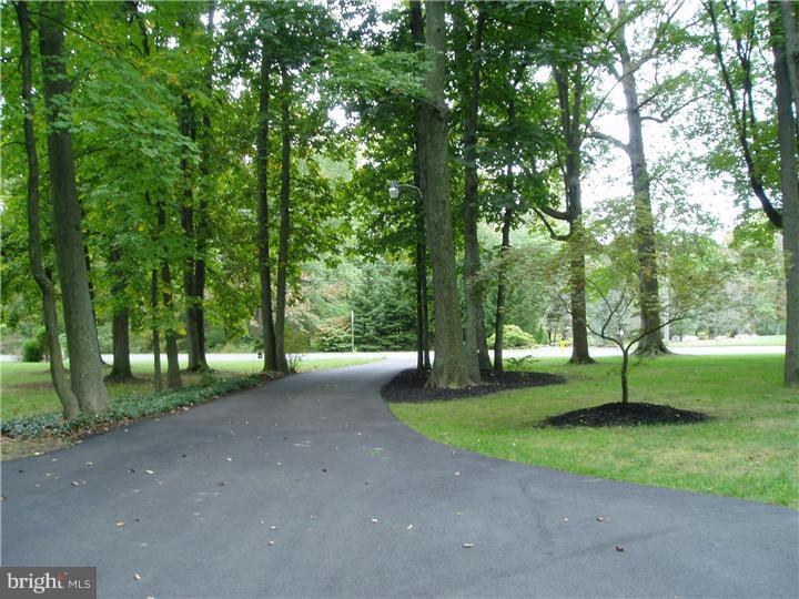 133 Old New Road Warrington, PA 18976 - Photo 22 of 25 View from Front Door