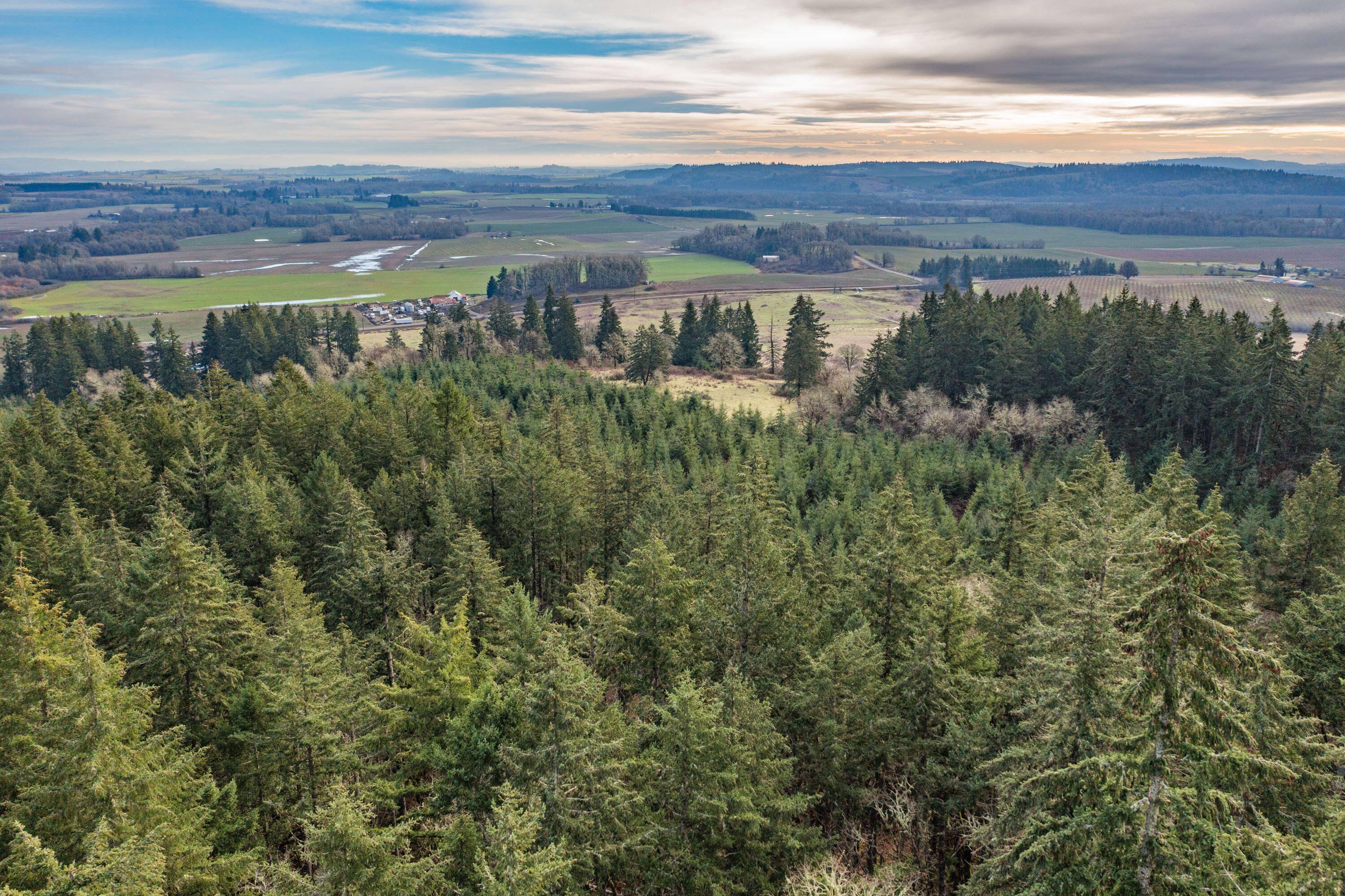 0 Airlie Road Monmouth, OR 97361 - Photo 6 of 33 Export-0829