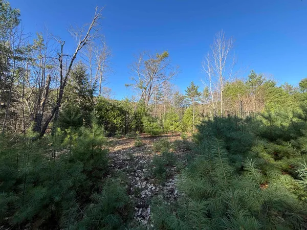 $85,000 | 0 Simonsville Road, Unit LOT 3, Andover, VT 05143
