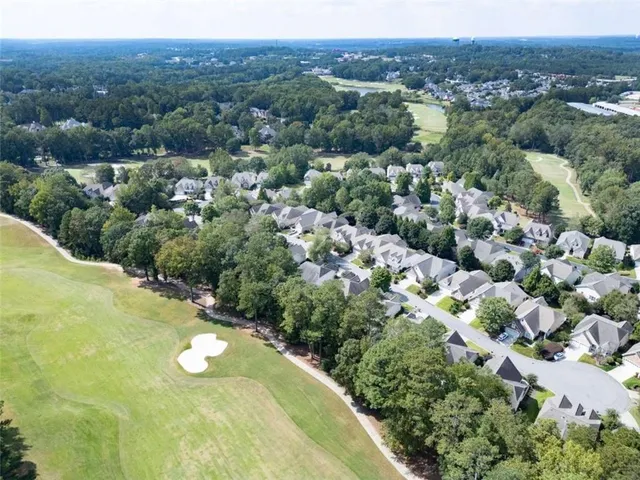 a view of a forest with a street