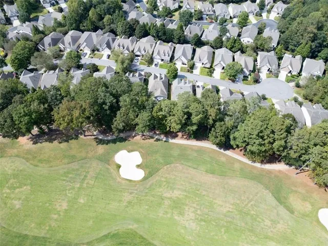 a view of a tree with a yard
