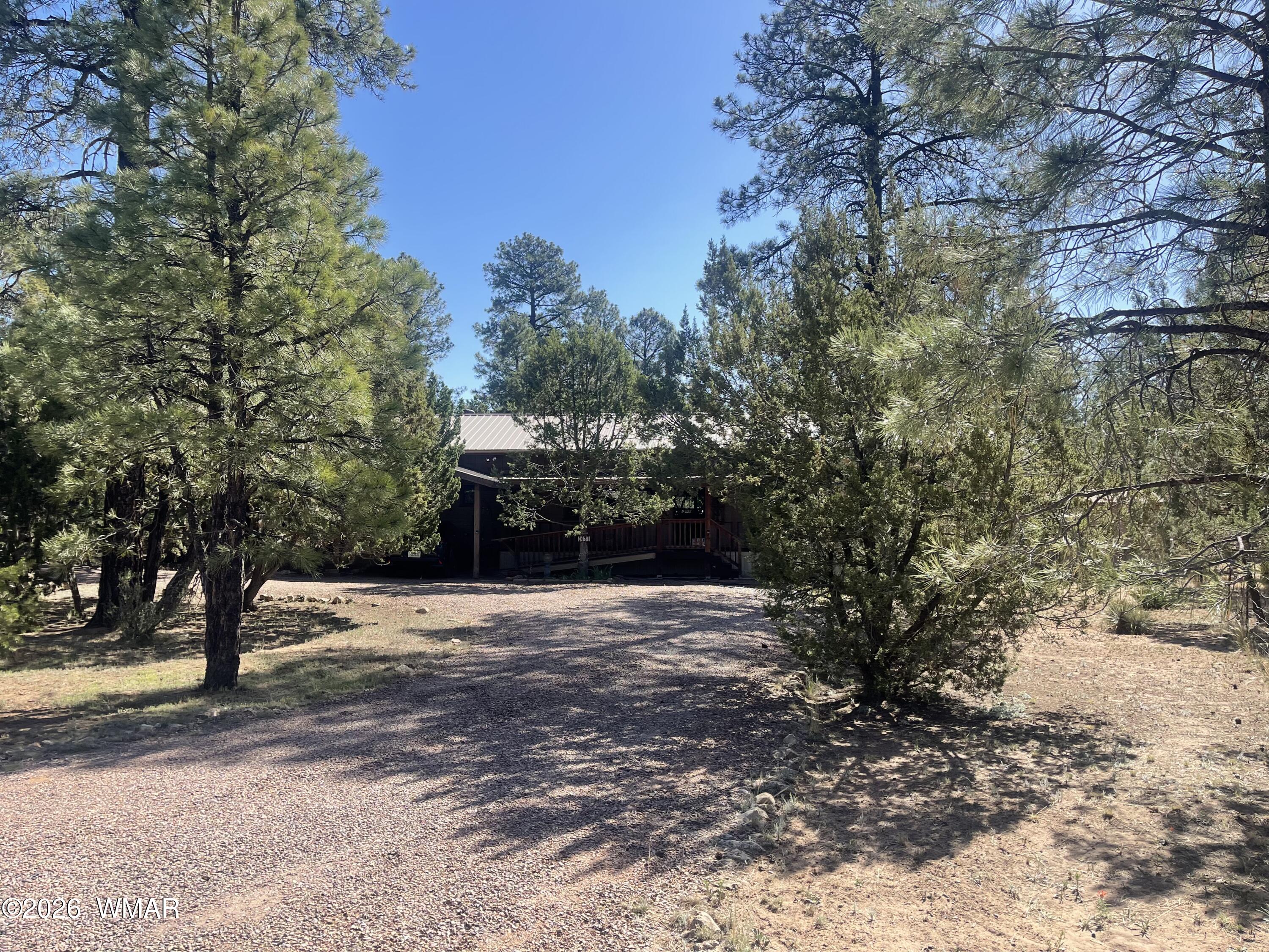 2871 Moose Trail Overgaard, AZ 85933 - Photo 1 of 25