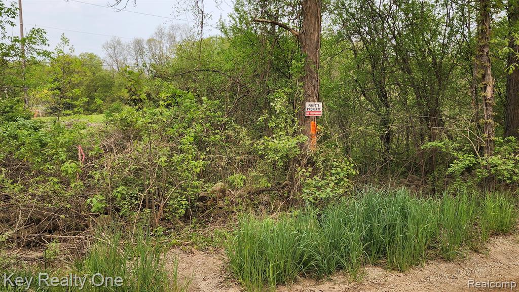 0 Pontiac Lake Road Oxford, MI 48371 - Photo 7 of 16