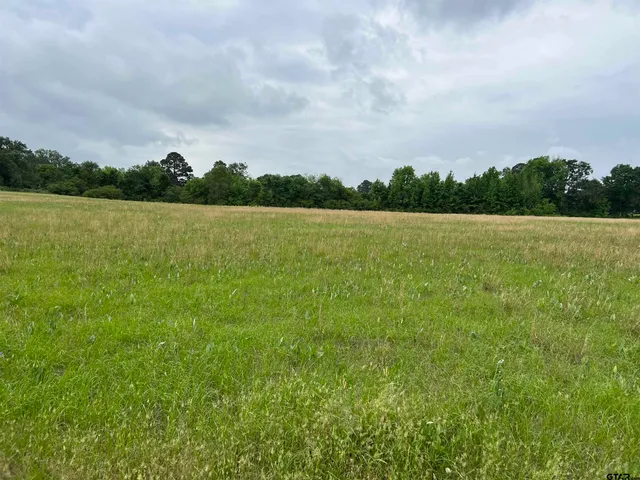 a view of a field with an ocean