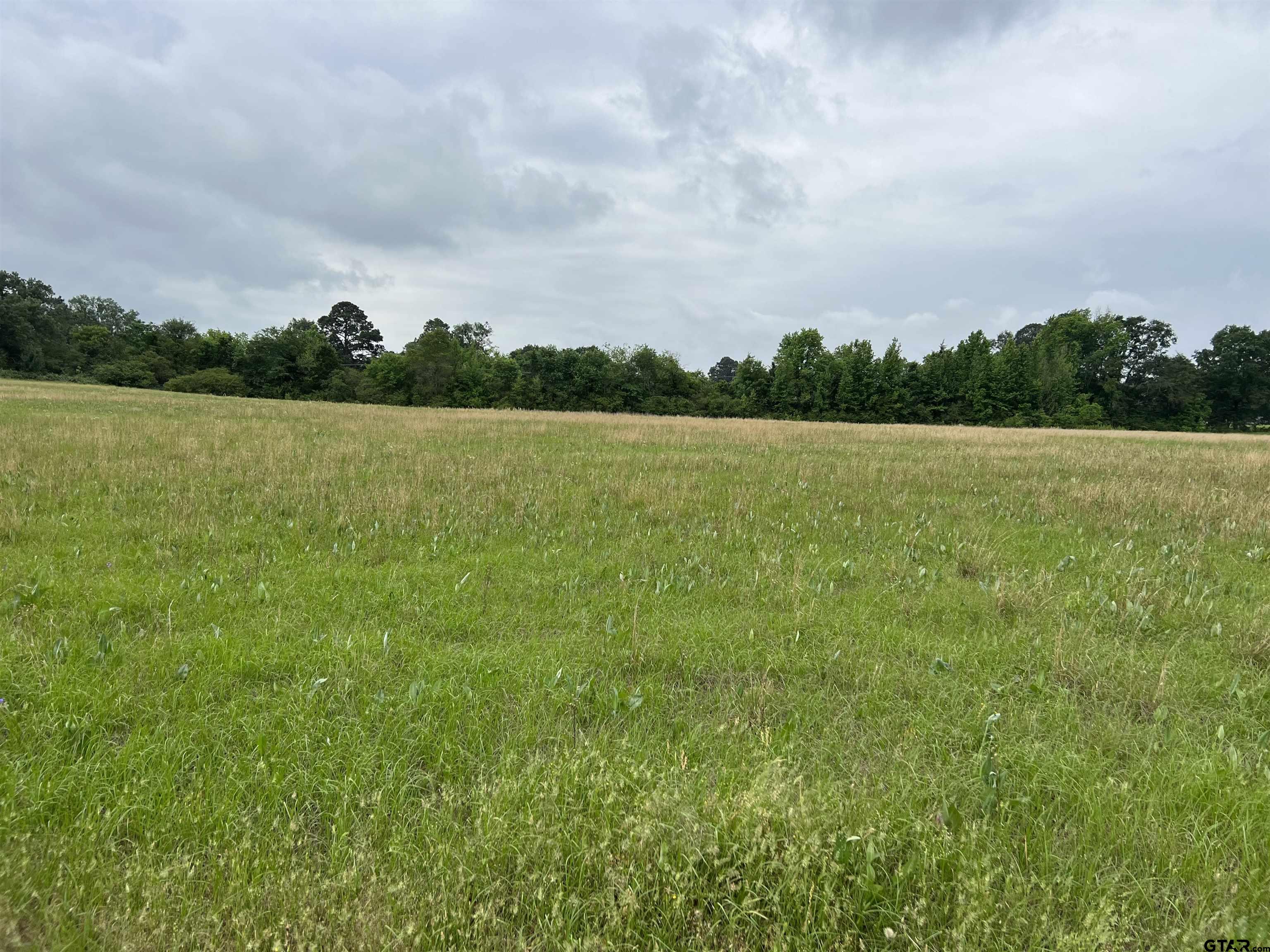 Tbd 4th Street Omaha, TX 75571 - Photo 7 of 9 a view of a field with an ocean