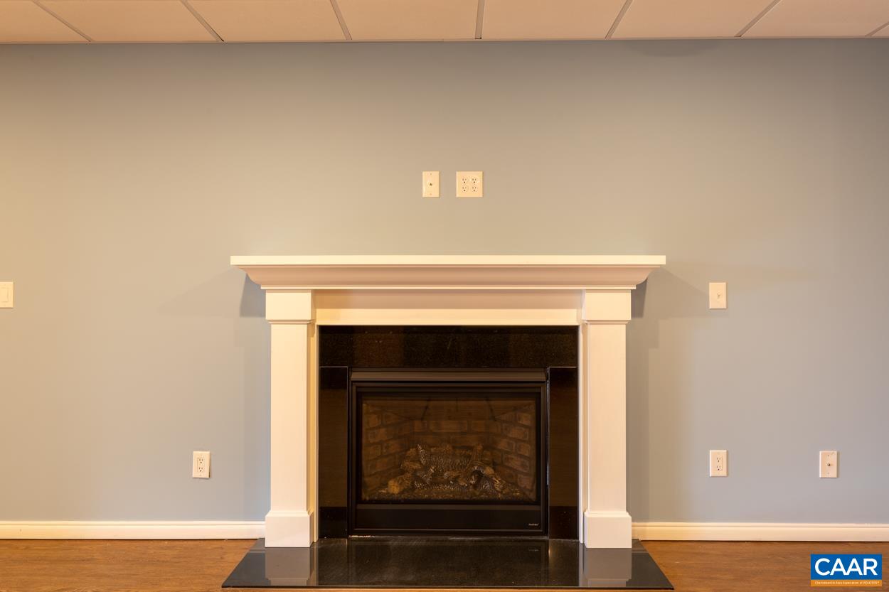 938 Jefferson Drive Palmyra, VA 22963 - Photo 36 of 50 a view of fireplace