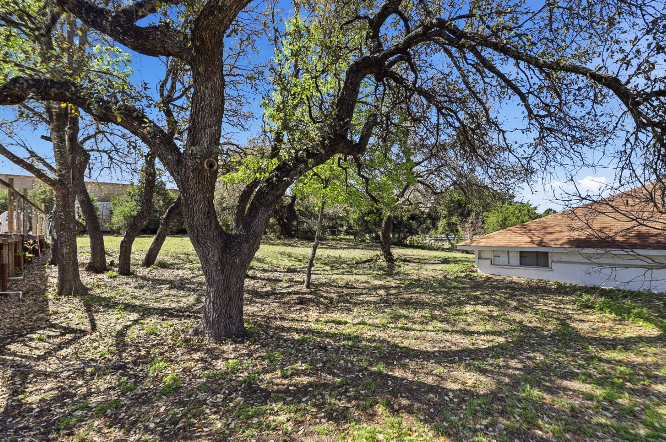 128 Skyview Terrace Leander, TX 78641 - Photo 19 of 23 View of yard