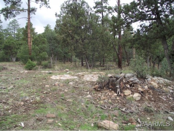 0 South Dahlin Road Prescott, AZ 86303 - Photo 8 of 10 Additional Photo