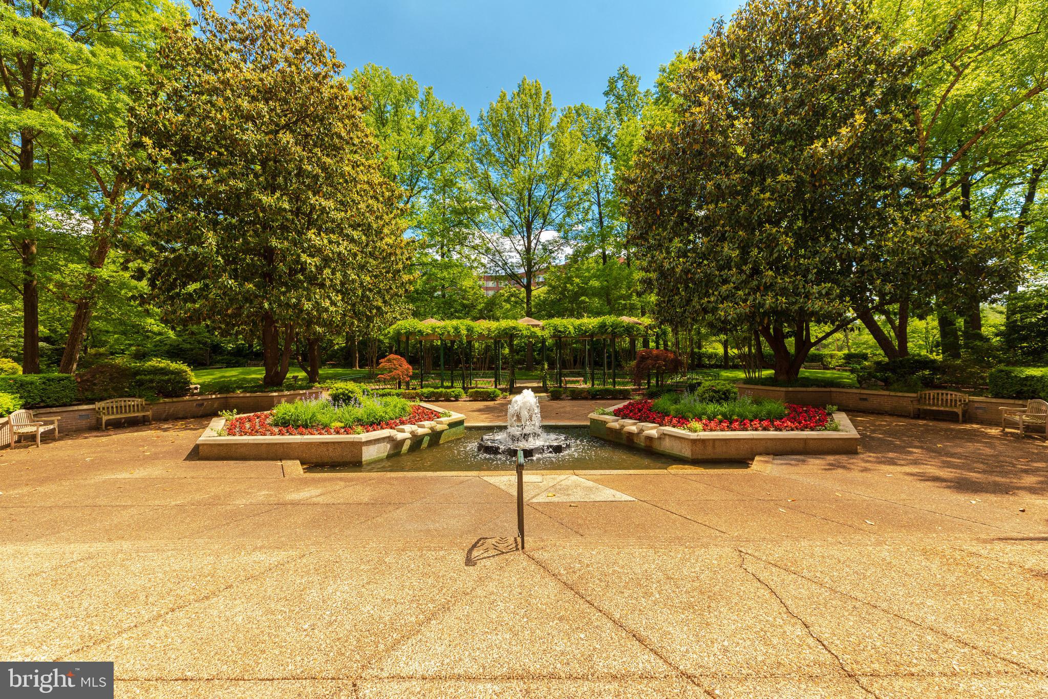 2801 New Mexico Avenue Northwest, Unit 204 Washington, DC 20007 - Photo 3 of 49 a view of yard with swimming pool and trees