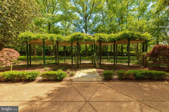 a view of green field