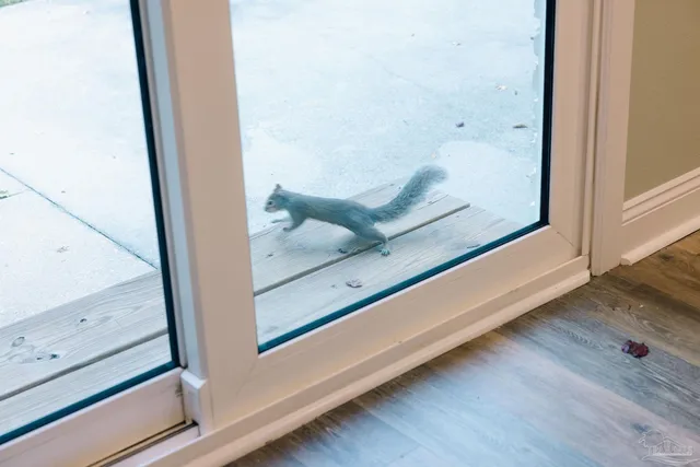 a kitchen with kitchen island granite countertop a sink stove and refrigerator
