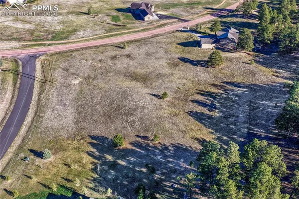 a view of a yard