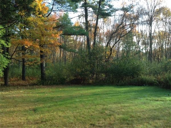 357 Linebrook Road Ipswich, MA 01938 - Photo 3 of 6