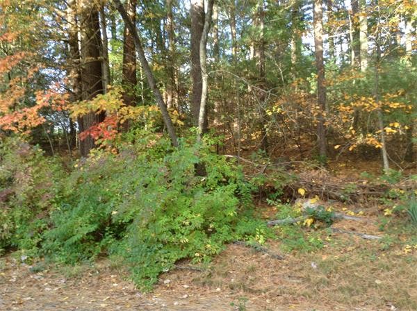 357 Linebrook Road Ipswich, MA 01938 - Photo 4 of 6