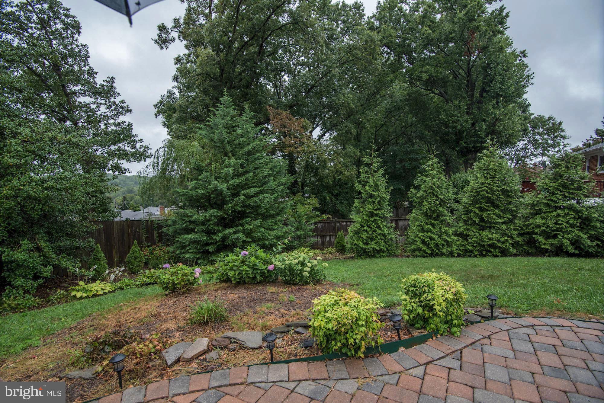 7507 June Street Springfield, VA 22150 - Photo 27 of 32 View from Patio