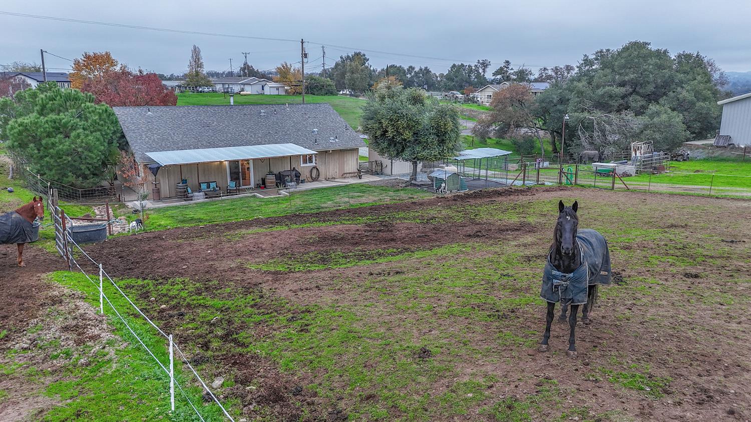 4568 Roadrunner Drive Ione, CA 95640 - Photo 4 of 56 a view of a house with a yard