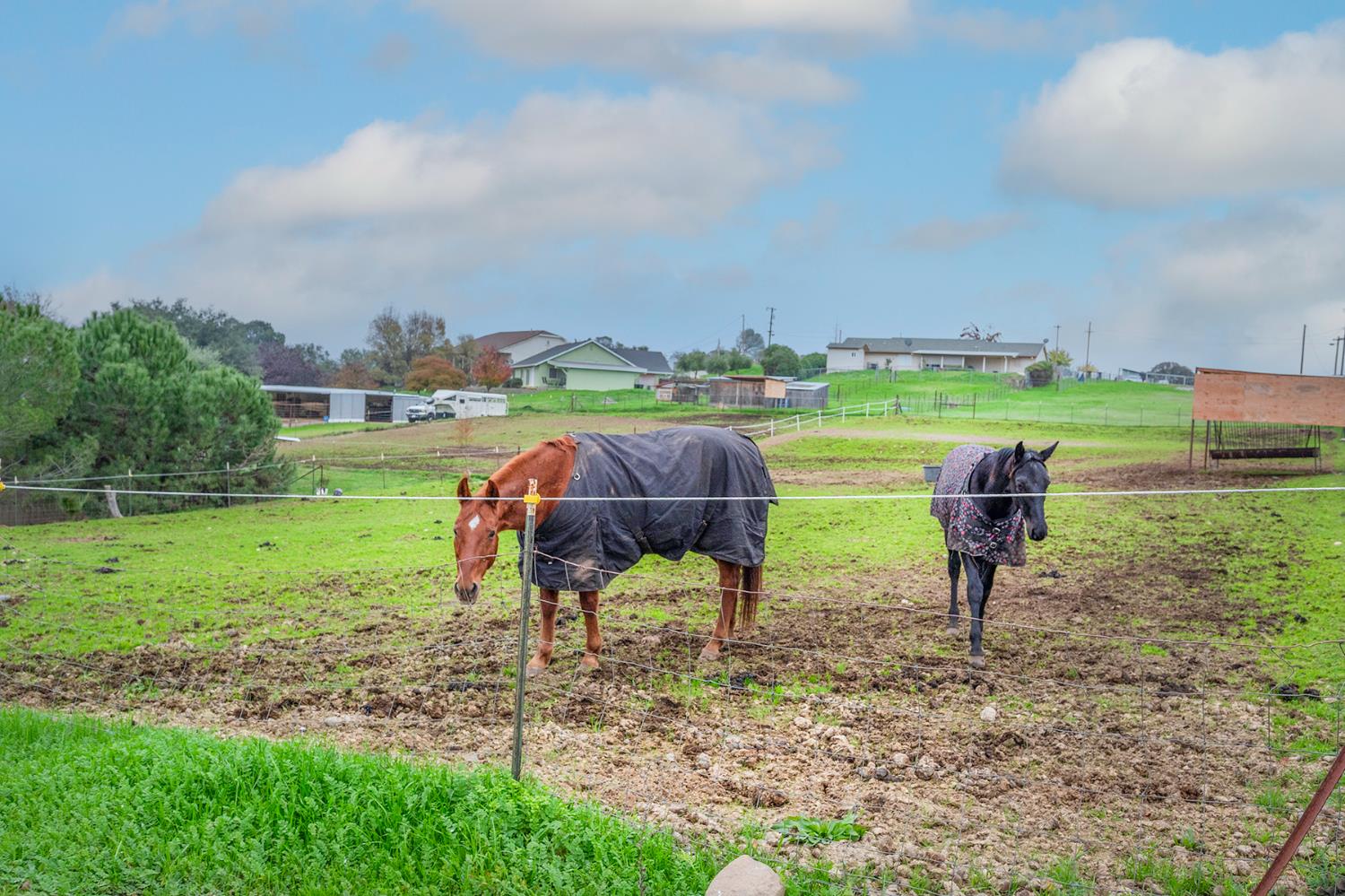4568 Roadrunner Drive Ione, CA 95640 - Photo 51 of 56 a view of a lake with lawn chairs and a large tree