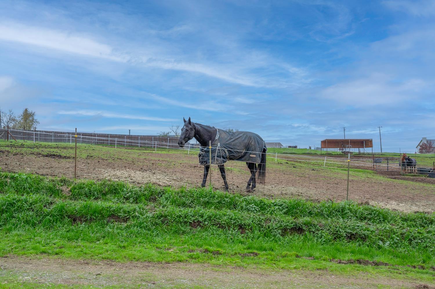 4568 Roadrunner Drive Ione, CA 95640 - Photo 54 of 56 a view of a garden with an outdoor space