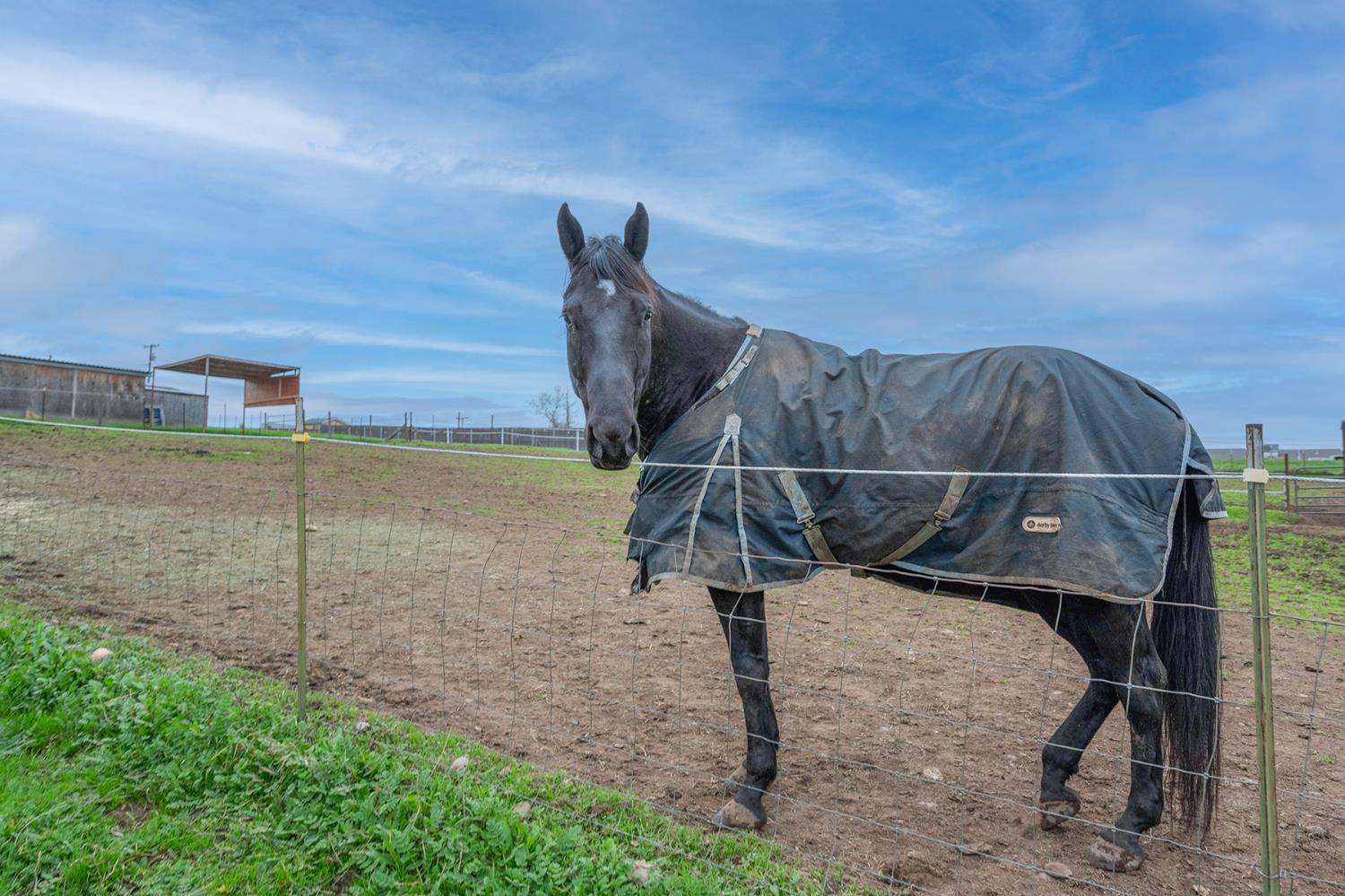 4568 Roadrunner Drive Ione, CA 95640 - Photo 9 of 56 a house with a wooden door