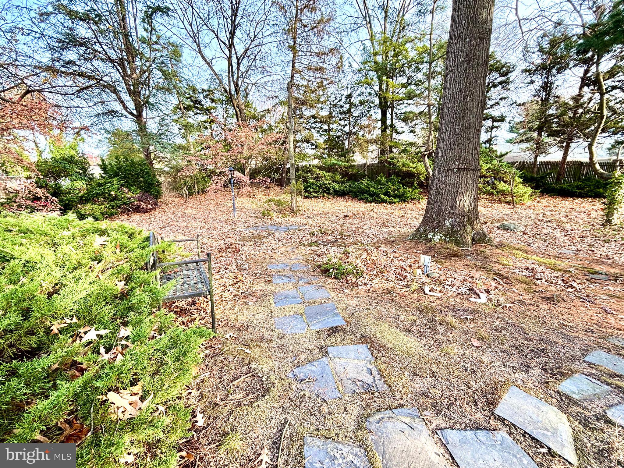 511 Boundary Road Pitman, NJ 08071 - Photo 27 of 30 a view of a yard with plants and trees