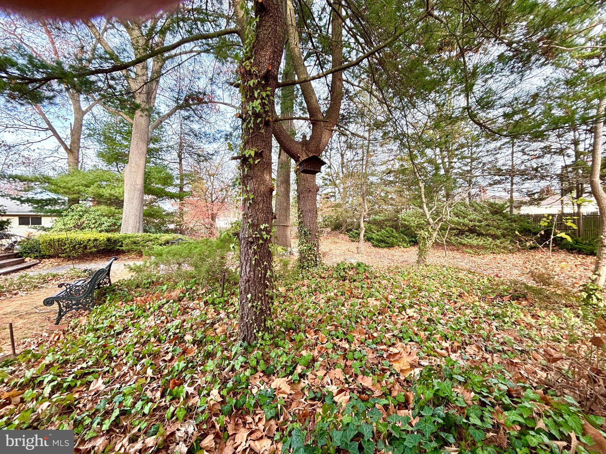 511 Boundary Road Pitman, NJ 08071 - Photo 3 of 30 a view of a yard with plants and trees
