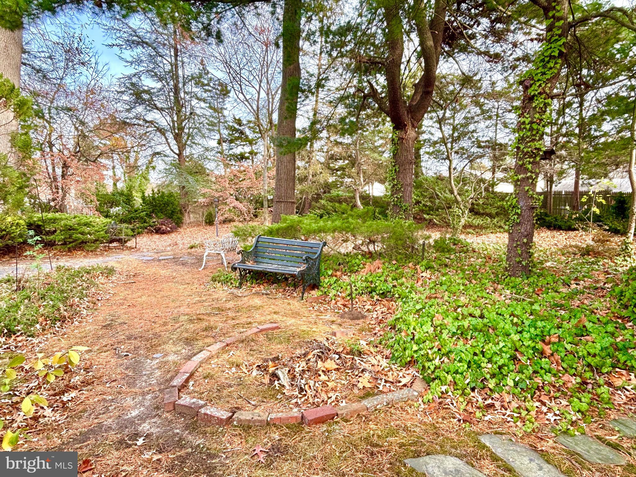511 Boundary Road Pitman, NJ 08071 - Photo 4 of 30 a view of a yard with plants and trees