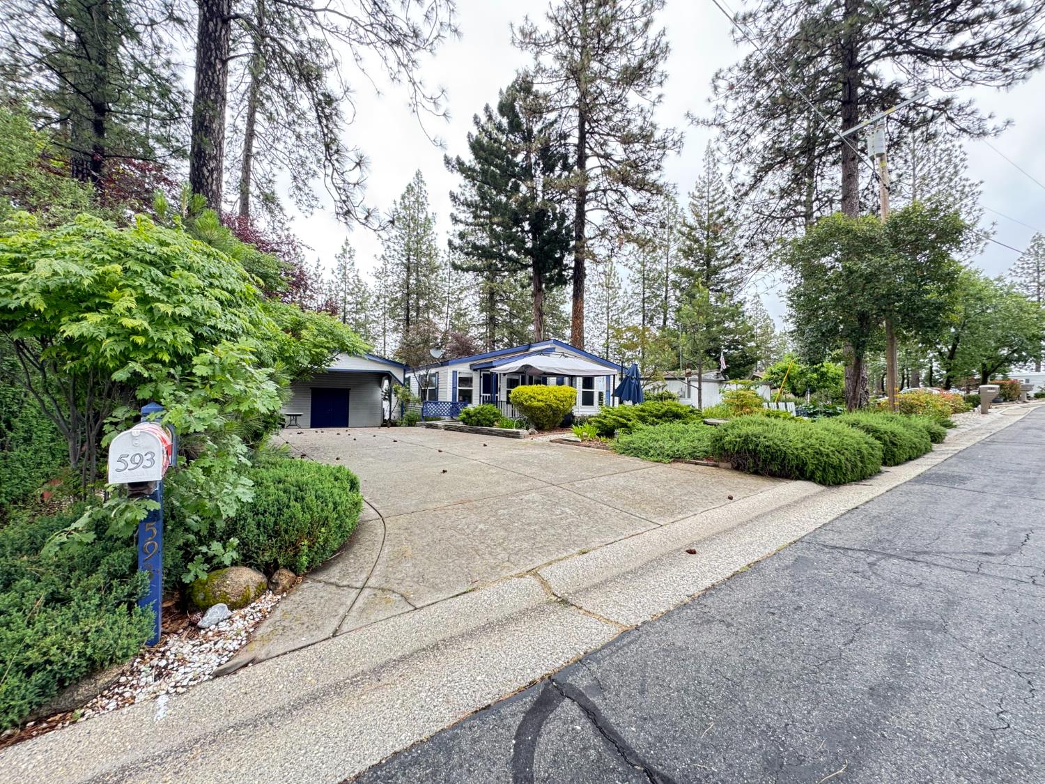 593 West Dundee Court Applegate, CA 95703 - Photo 2 of 42