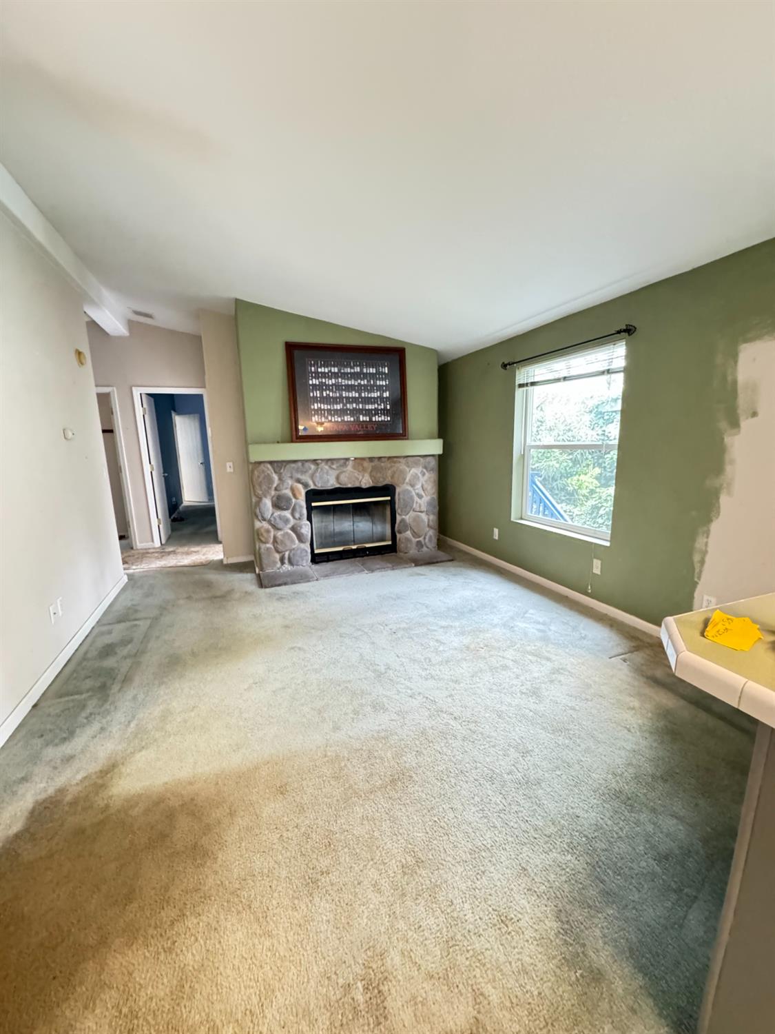 593 West Dundee Court Applegate, CA 95703 - Photo 21 of 42