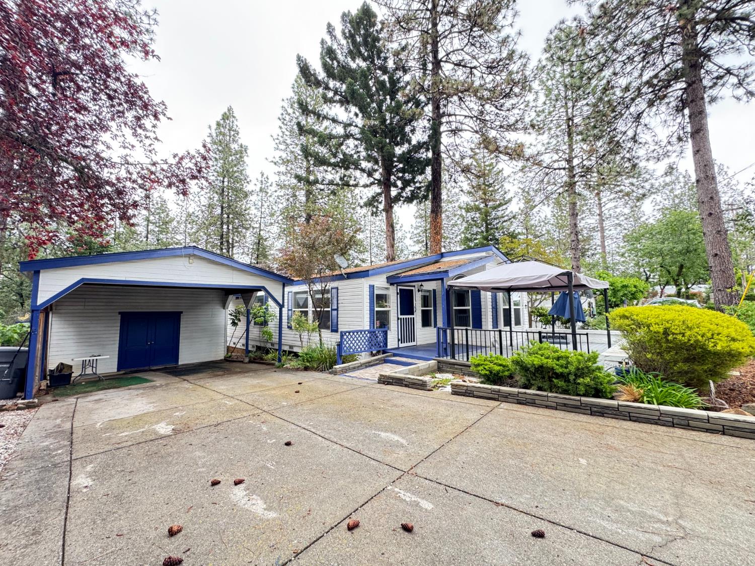 593 West Dundee Court Applegate, CA 95703 - Photo 3 of 42