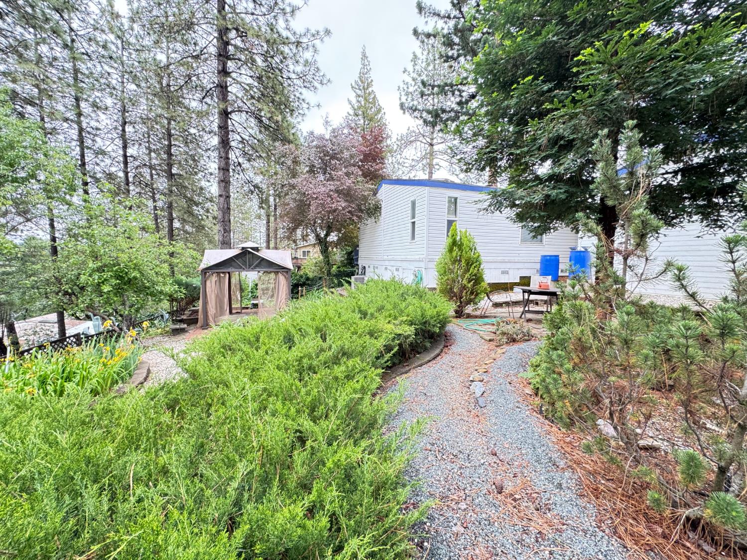 593 West Dundee Court Applegate, CA 95703 - Photo 36 of 42