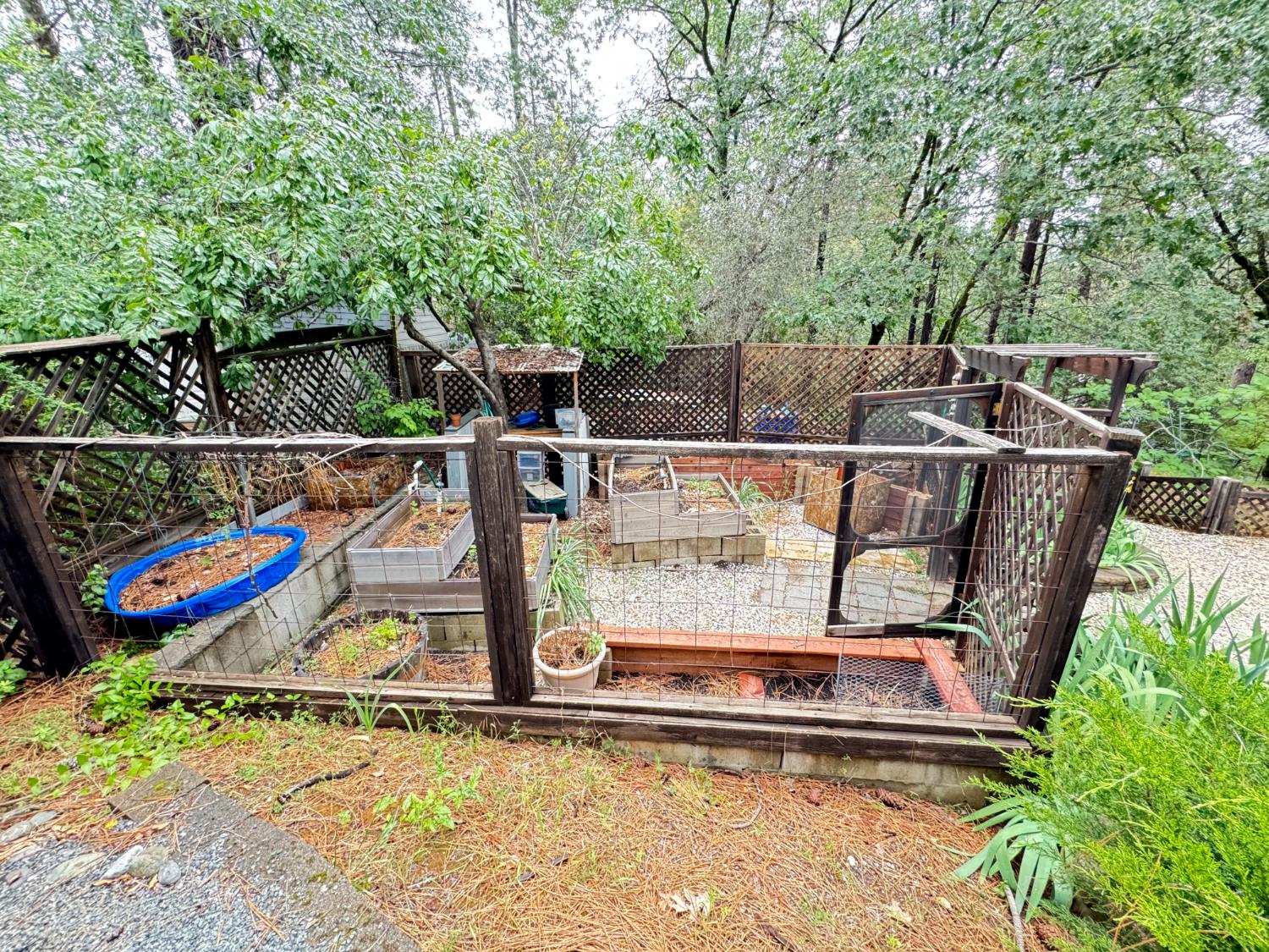 593 West Dundee Court Applegate, CA 95703 - Photo 37 of 42